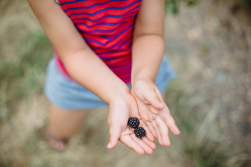 The Alternative Gift List for Kids (That Isn’t Just More Stuff)